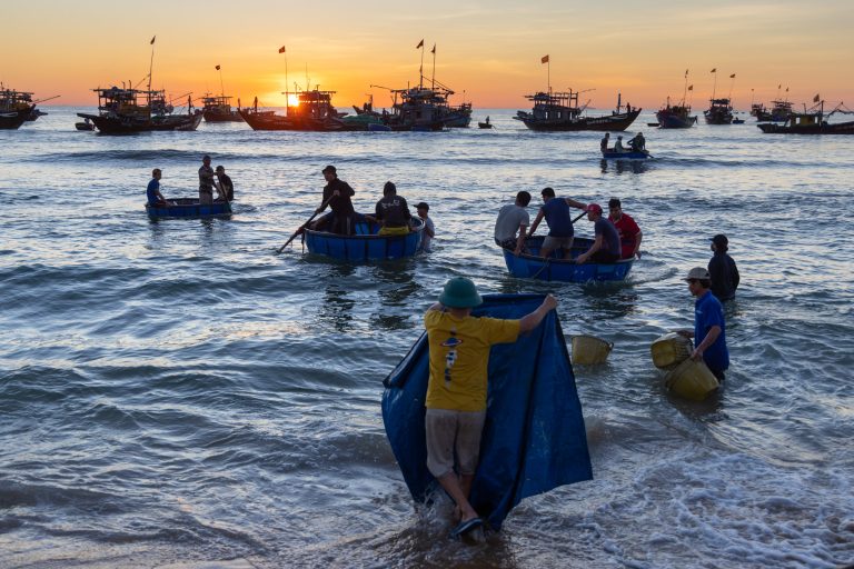 Fishermen bring in the morning catch at the fish market south of Hoi An in Quang Nam, Vietnam.