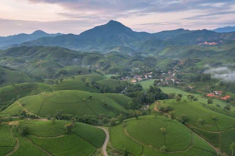 Aerial view of Long Coc