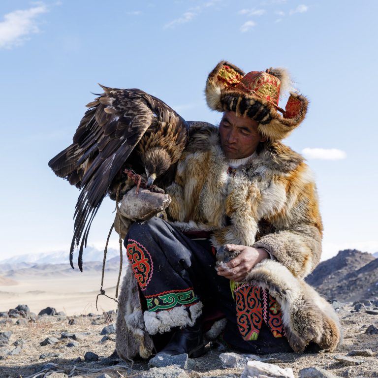 A Kazak Mongolian eagle hunter and his eagle in the Altai near to Bayan Olgii, Mongolia. Mongolia Photo Tour & Golden Eagle Festival.