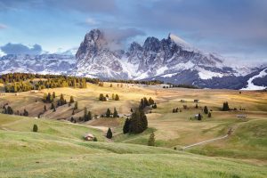 The high altitude Alpine meadow of the Alpe Di Siusi (Seiser Alm), Dolomites, Italy.