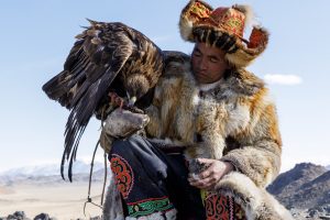 A Kazak Mongolian eagle hunter and his eagle in the Altai near to Bayan Olgii, Mongolia. Mongolia Photo Tour & Golden Eagle Festival.